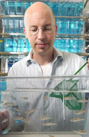 Kenneth Poss, Ph.D., with zebrafish. (Image courtesy of Duke University Medical Center)